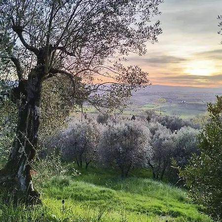 Tatil Evi Il Cestino Di Ciliegie Certaldo