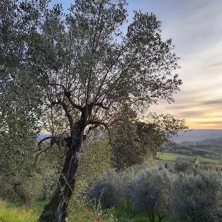 Il Cestino Di Ciliegie Tatil Evi *