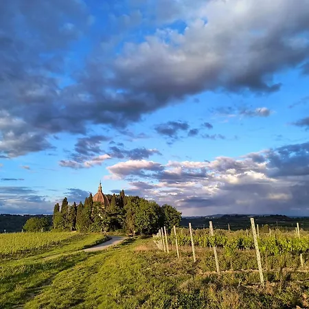 Tatil Evi Il Cestino Di Ciliegie
