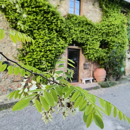 Il Cestino Di Ciliegie Certaldo