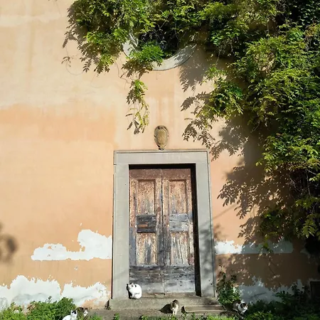 Il Cestino Di Ciliegie Certaldo
